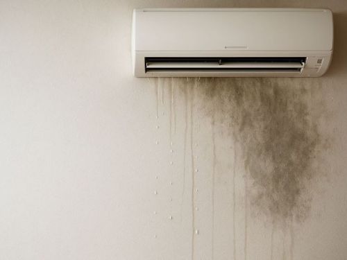 房間潮濕怎麼解決？完整除濕指南與有效改善方法