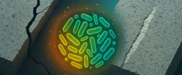 什麼是自癒合混凝土？下一代智慧建築材料解析